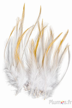 Haan Leon - 10-15 cm - creme natuurlijk